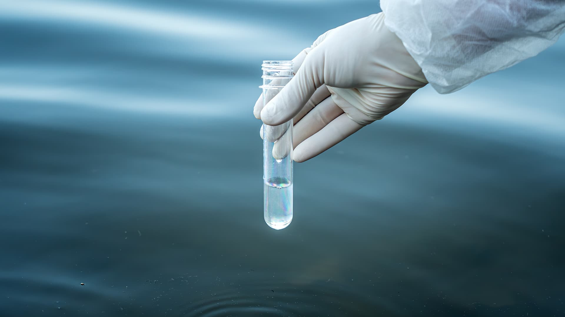 US Pharmacopeia Testing